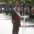 Castellón, Jura de Bandera 2013