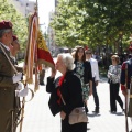 Castellón, Jura de Bandera 2013