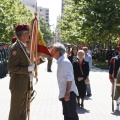 Castellón, Jura de Bandera 2013