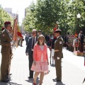 Castellón, Jura de Bandera 2013
