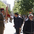 Castellón, Jura de Bandera 2013
