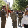 Castellón, Jura de Bandera 2013