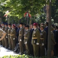 Castellón, Jura de Bandera 2013
