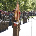 Castellón, Jura de Bandera 2013