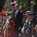Castellón, Jura de Bandera 2013