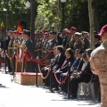 Castellón, Jura de Bandera 2013