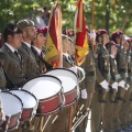 Castellón, Jura de Bandera 2013