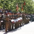 Castellón, Jura de Bandera 2013