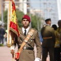 Castellón, Jura de Bandera 2013