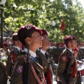 Castellón, Jura de Bandera 2013