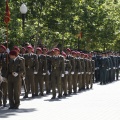 Castellón, Jura de Bandera 2013
