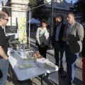 JornadasTecnológicas de Energías Renovables