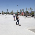 II Competi- Skate