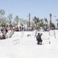 II Competi- Skate