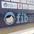 FIB 2013