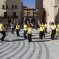Trobada de Bèsties de Foc
