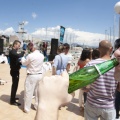 Castellón, Eventos Roberto Regal