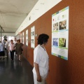 Hospital provincial