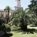 Hospital provincial