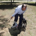 zona de esparcimiento canino