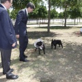 zona de esparcimiento canino