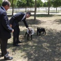 zona de esparcimiento canino