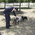 zona de esparcimiento canino