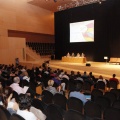 Castellón, 2013