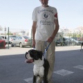 Castellón, Exposición Nacional e Internacional Canina