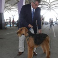 Castellón, Exposición Nacional e Internacional Canina