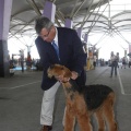 Castellón, Exposición Nacional e Internacional Canina