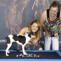 Castellón, Exposición Nacional e Internacional Canina