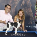 Castellón, Exposición Nacional e Internacional Canina
