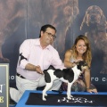 Castellón, Exposición Nacional e Internacional Canina