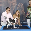 Castellón, Exposición Nacional e Internacional Canina