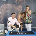 Castellón, Exposición Nacional e Internacional Canina