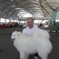 Castellón, Exposición Nacional e Internacional Canina
