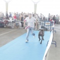 Castellón, Exposición Nacional e Internacional Canina