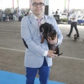 Castellón, Exposición Nacional e Internacional Canina