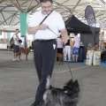 Castellón, Exposición Nacional e Internacional Canina