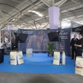 Castellón, Exposición Nacional e Internacional Canina