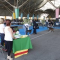 Castellón, Exposición Nacional e Internacional Canina