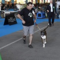 Castellón, Exposición Nacional e Internacional Canina