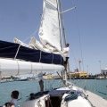 Jubilata´s Cup