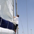 Jubilata´s Cup