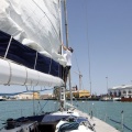 Jubilata´s Cup
