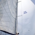 Jubilata´s Cup