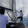 Jubilata´s Cup