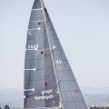 Jubilata´s Cup