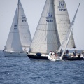 Jubilata´s Cup